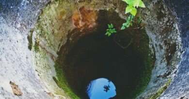 Pozzi neri e fosse biologiche: che cosa sono? 5