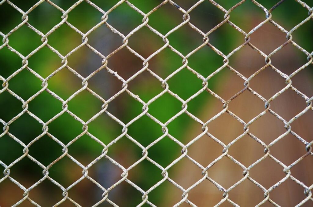 Nastri trasportatori metallici: scopri le soluzioni su misura per la tua industria 1