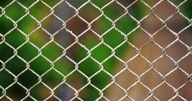 Nastri trasportatori metallici: scopri le soluzioni su misura per la tua industria 3